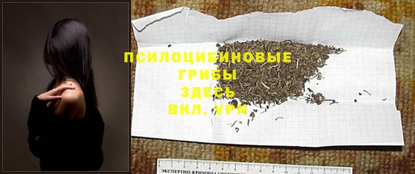 молекула духа Алексеевка