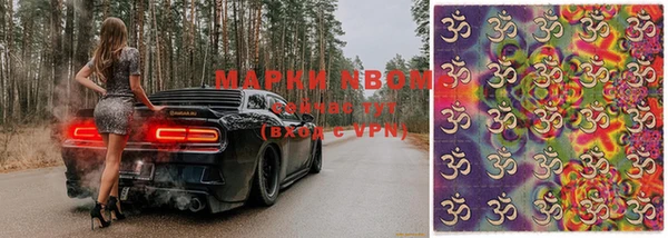 ешки Аркадак