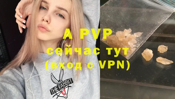 ешки Аркадак