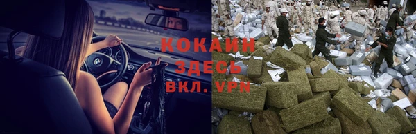 ешки Аркадак