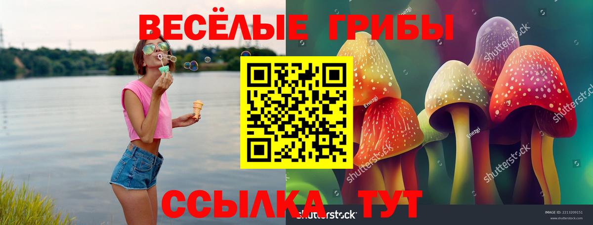 Нефтекамск  Галлюциногенные грибы Magic Shrooms  Вход с VPN  Галлюциногенные грибы Psilocybine cubensis 
